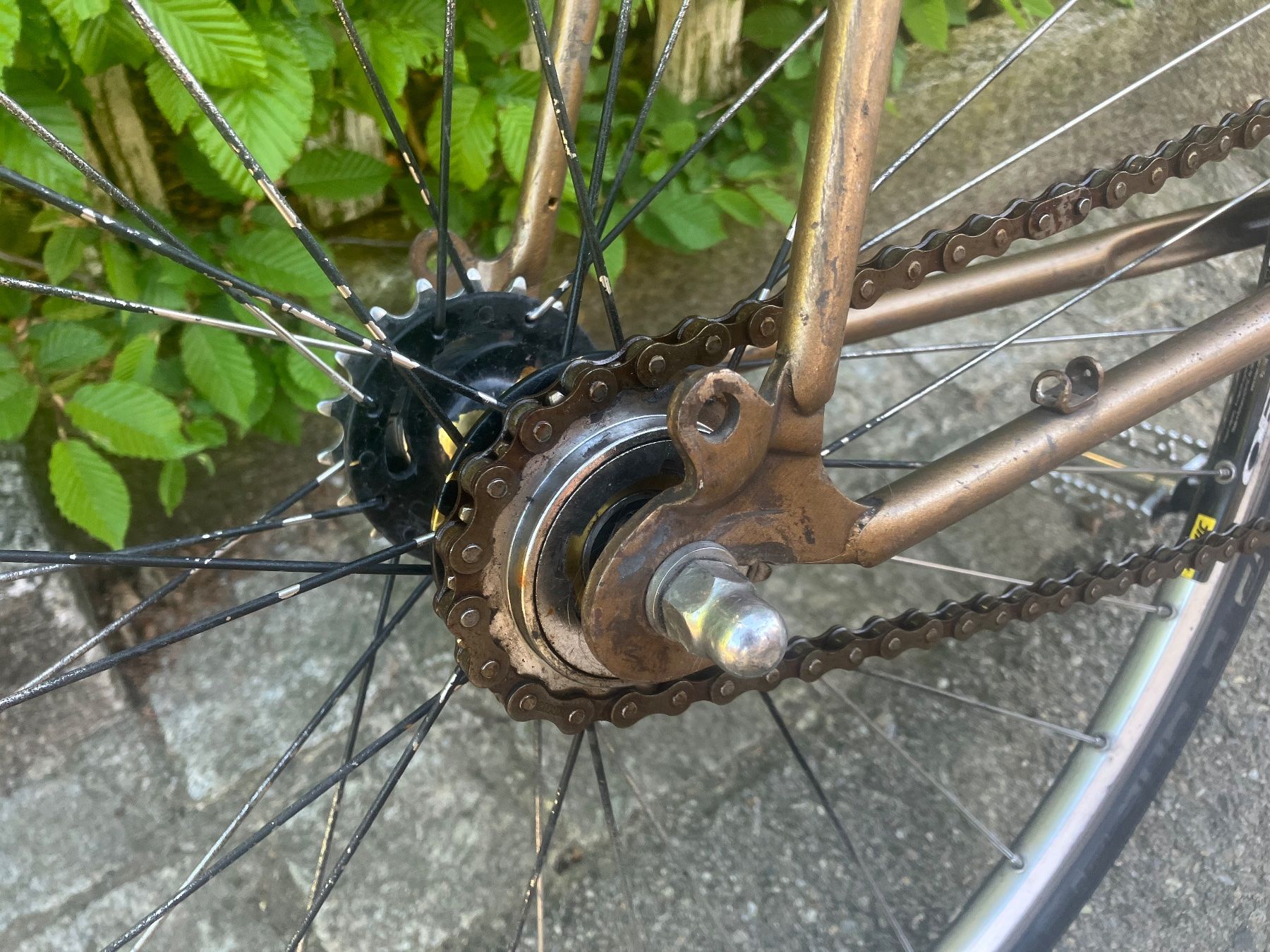 Batavus Biciclette: Vintage Velo Batavus Eingänger – Usato da St. Gallen venduto da ti_7knv 5