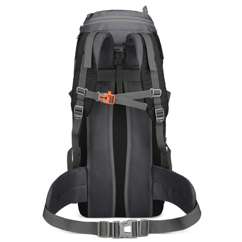 Zaini: NEU Wanderrucksack 65L Trekking / Sac à dos de randonnée – Nuovo e nell'imballaggio originale da Isérables venduto da Alfaga 2