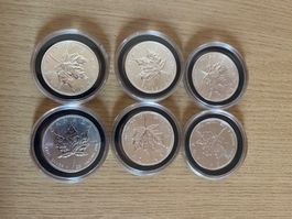 6x1 Unze Maple Leaf Feinsilber