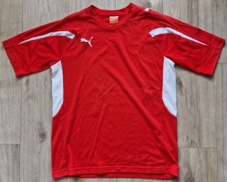 Original PUMA SFV Schweiz Nati Fussballtrikot T-Shirt Gr. S