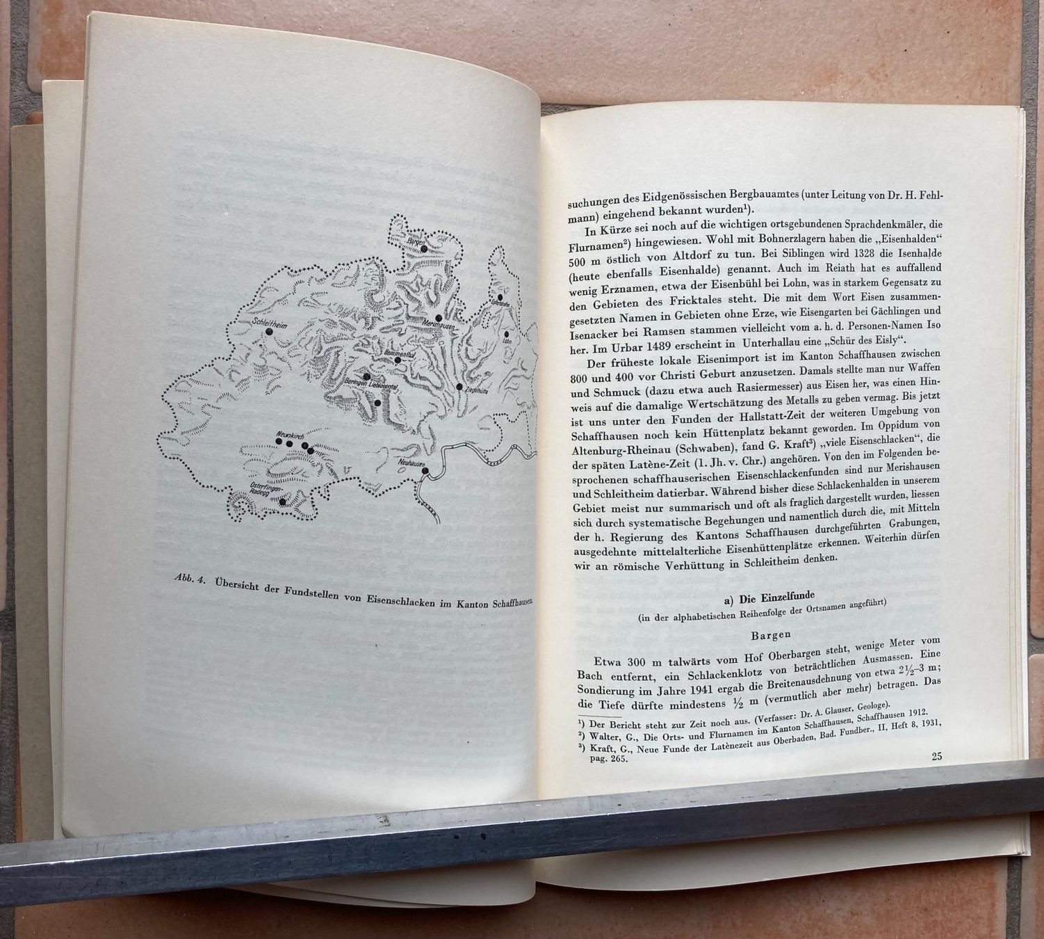 Bücher: Schaffhausen... Eisenindustrieland... – Gebraucht aus Versoix von HELVETICA_1 6