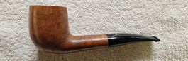 SAVINELLI 2001