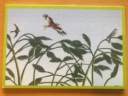 Kunst-Postkarte Naturschutz-Tram Zürich 2000-2002
