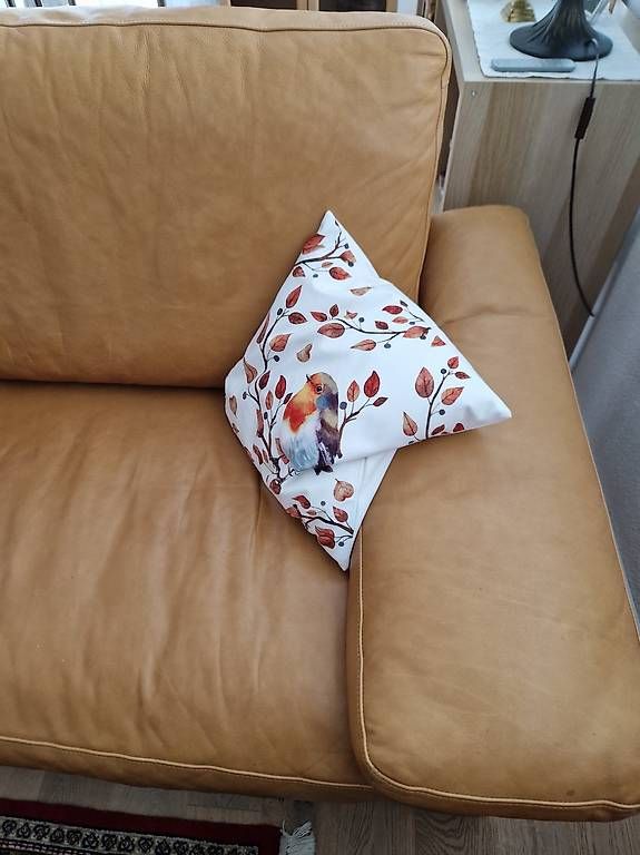 Sofas: Ledersofa  – Gebraucht aus Grosswangen von relleufp43 1