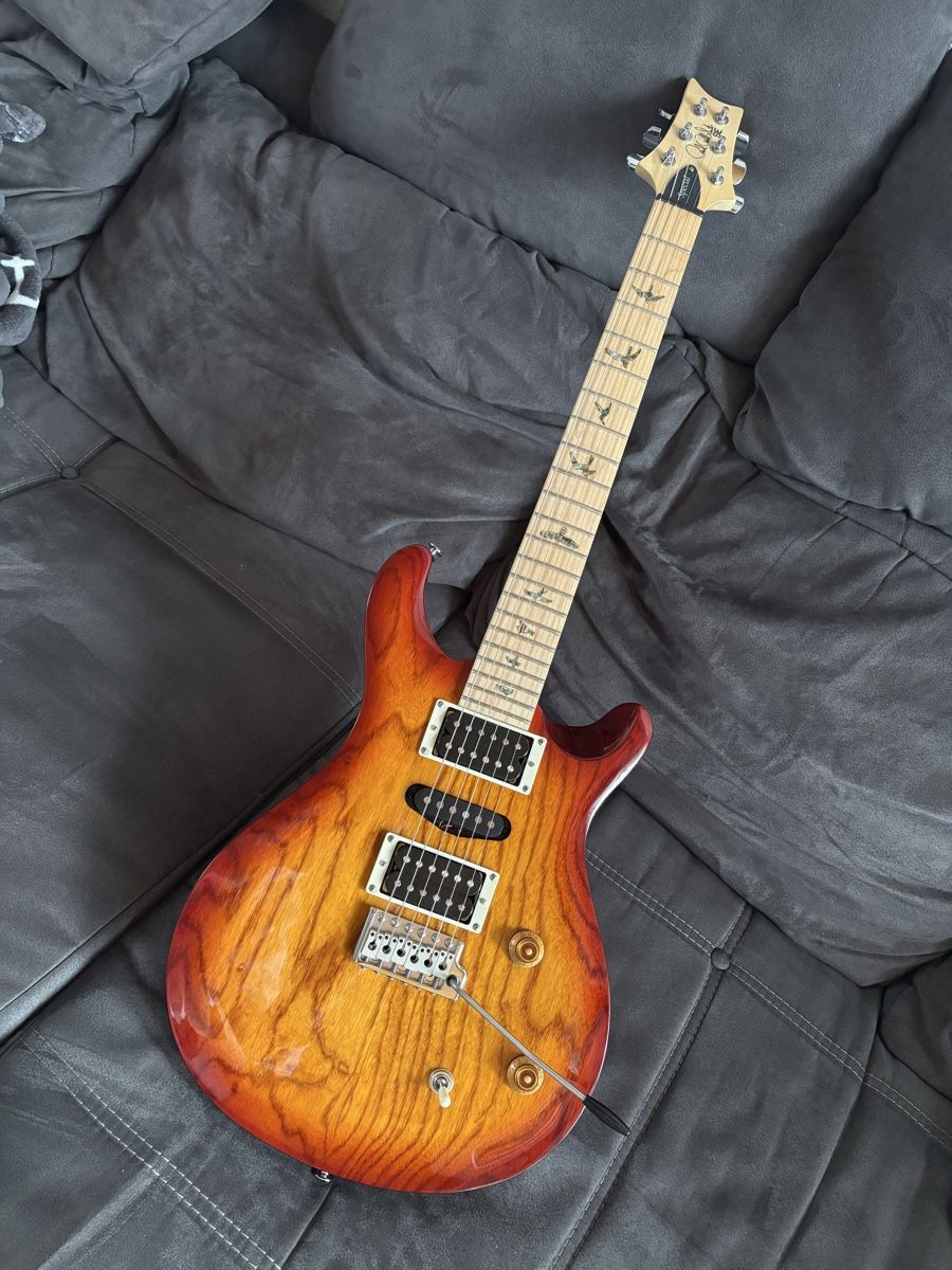 PRS Strumenti musicali: PRS Swamp Ash Special SE – Nuovo (secondo la descrizione) da uetendorf venduto da Volvorine16 3