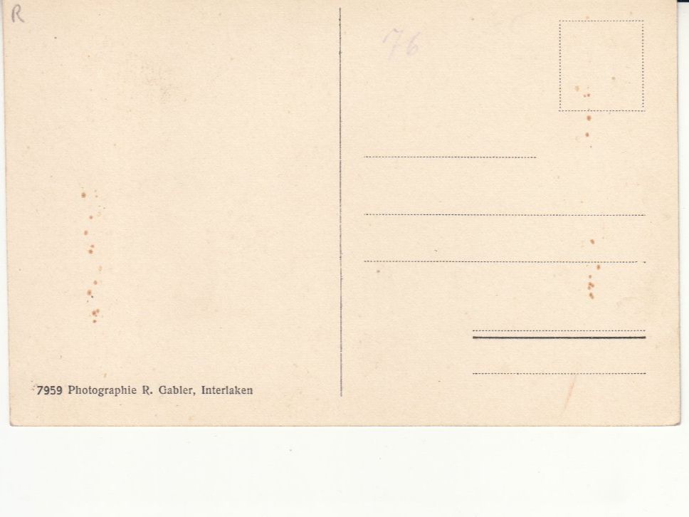 Cartoline postali: Interlaken Unspunnen Waldhotel ca. 1910 – Usato da Bürglen TG venduto da StampGraf 1