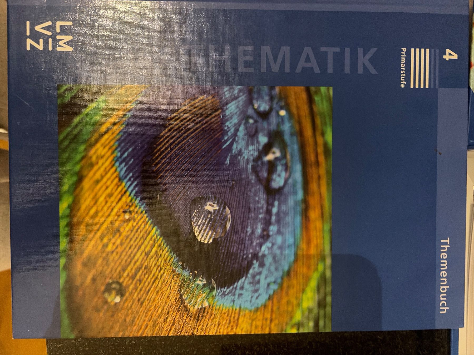 Bücher: Mathe Primarstufe Buch 4 Lehrmittel LMVZ – Gebraucht aus Küsnacht ZH von vbo_qsq5 3