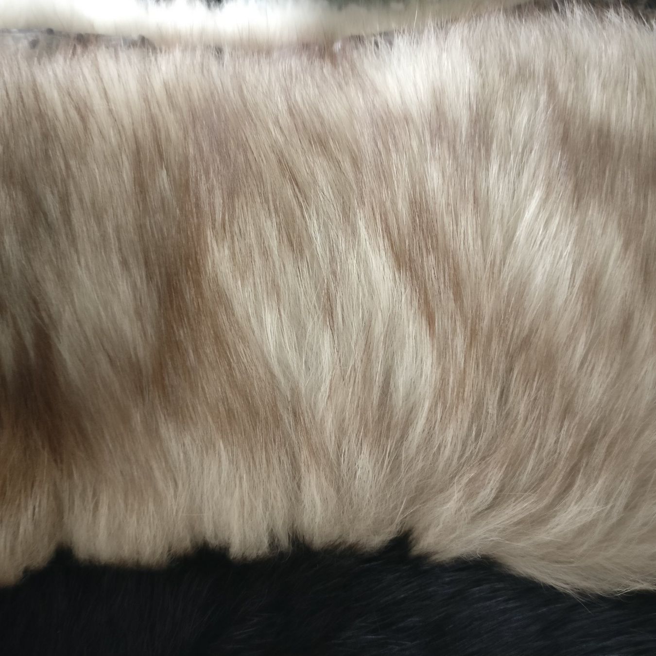 Nerz Cappotti: Nerz-Blaufuchs Mantel Gr. 38 – Usato da Konolfingen venduto da Miga70 2