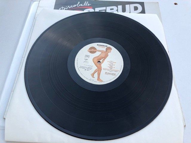 Dischi in vinile: Pink Floyd Tribut Cover Band – Usato da Aarwangen venduto da Jukebox3 4