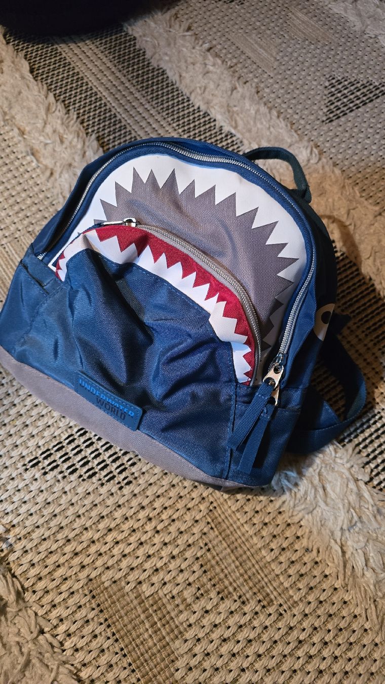 Borse & Zaini: Rucksack Für den Kindergarten – Usato da Schiers venduto da ok3232