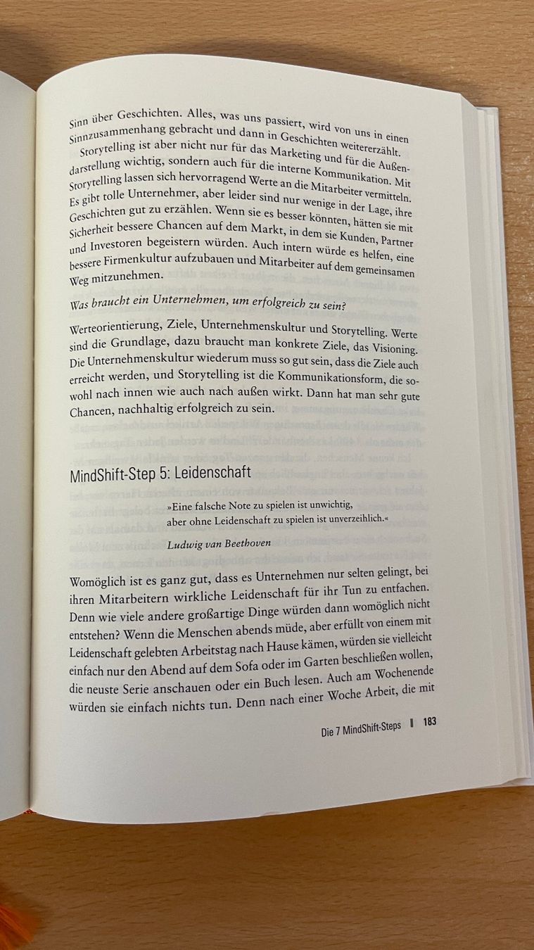 Libri: sinnstifter - Jürgen Schöntauf – Usato da Glattfelden venduto da cybermaxx 9