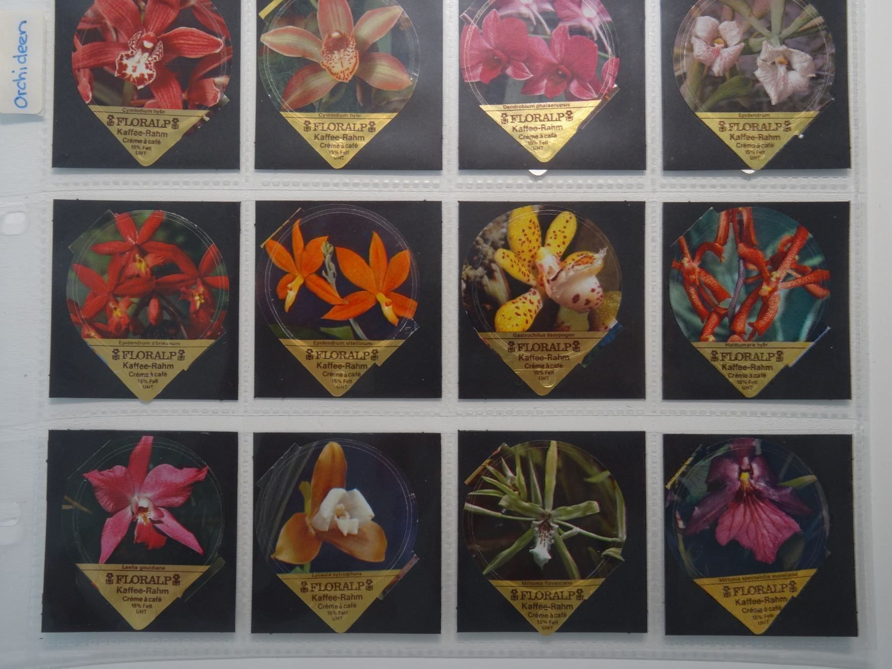 Coperchi dei cremini per caffè: KRD Orchideen 1981  18A – Usato da Hochdorf venduto da Teger02 1