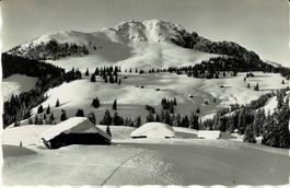 10761 Skigelände Bäderhorn JAUNPASS BE ca 1940!