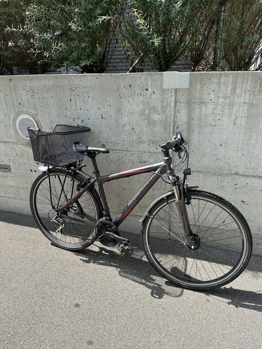 Bergamont Biciclette: Bergamont Trekking Rad - gebraucht – Usato da Zürich venduto da leo_sf7t