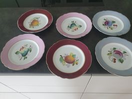Dessertteller 6er Set Obstdekor verschiedene Farben guter...