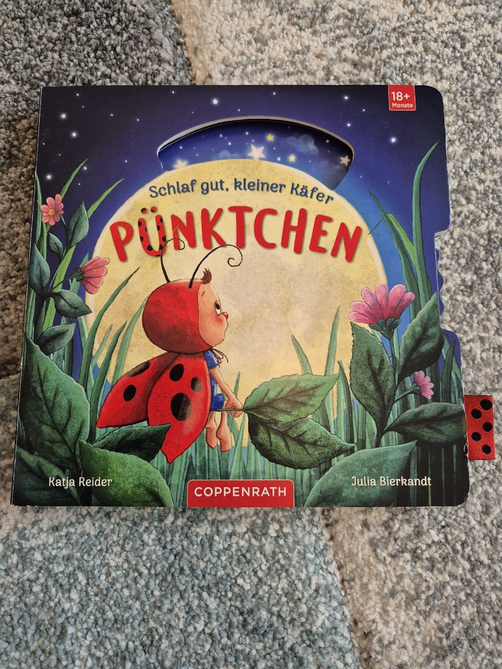 Libri: Kinderbuch Schlaf gut, kleiner Käfer – Nuovo (secondo la descrizione) da Greifensee venduto da Angela120