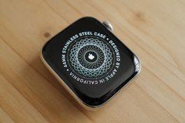 Apple Watch Series 6 44 mm Stainless Steel