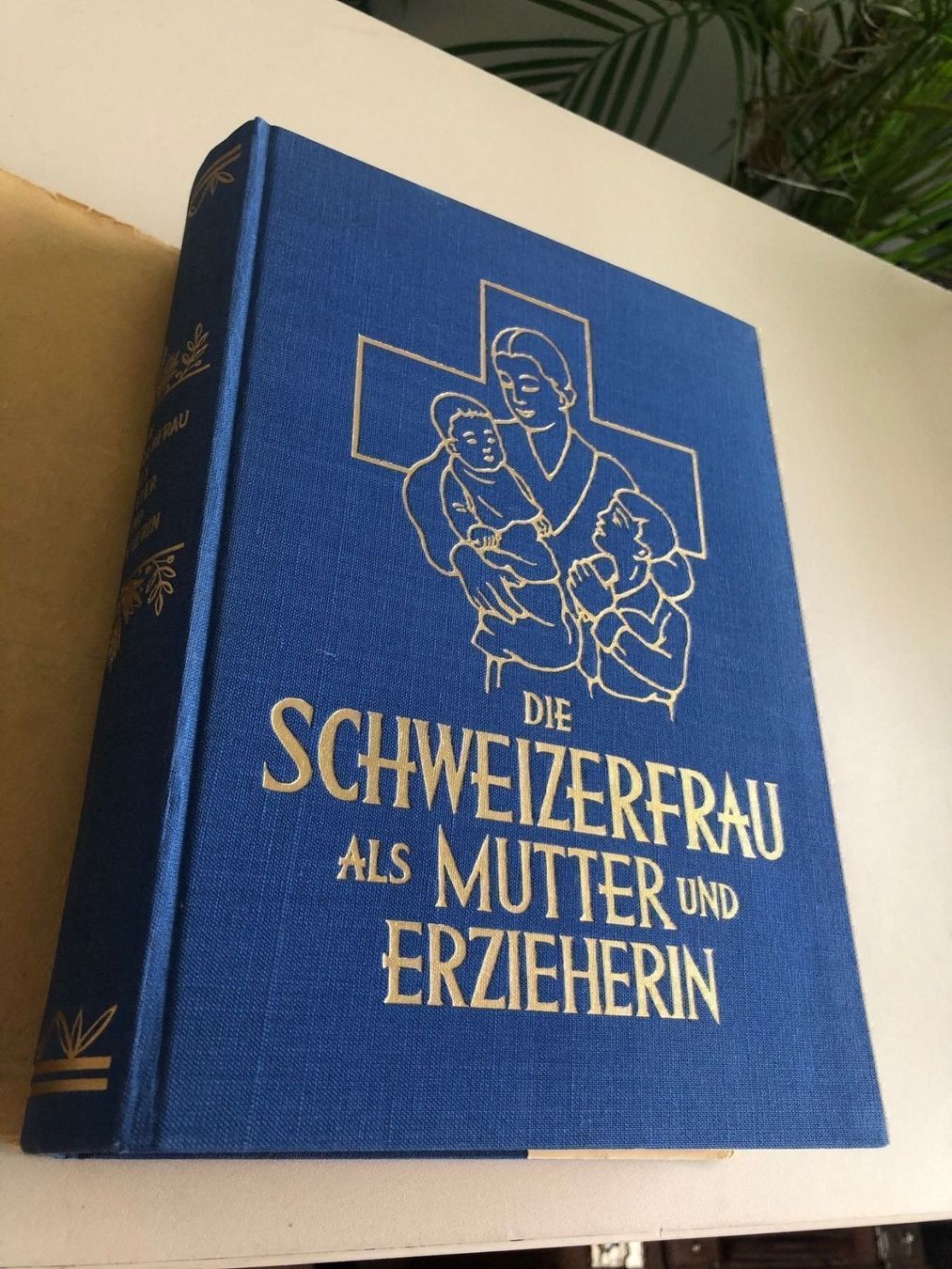 Libri: Schweizerfrau als Mutter und Erzieherin! – Usato da Brügg BE venduto da rutschimedizin 4