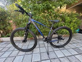 MTB Roleto