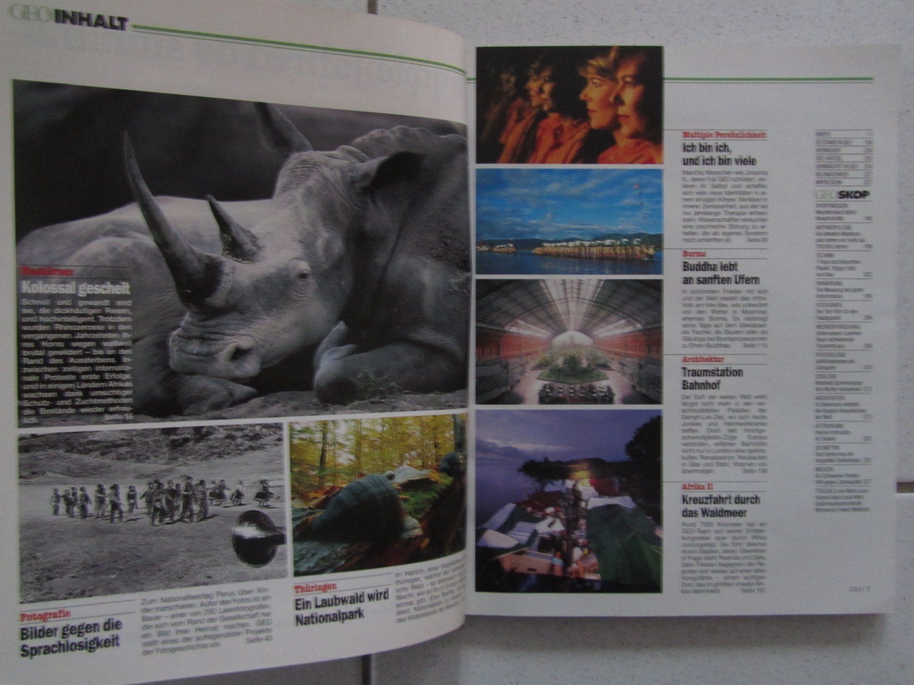 Riviste & Magazine: Geo, Nr. 11 vom November 1995 – Usato da Weiningen ZH venduto da dietsch57 1
