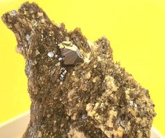 Micromount Mineralien Cervandonit Magnetit Rutil Binntal