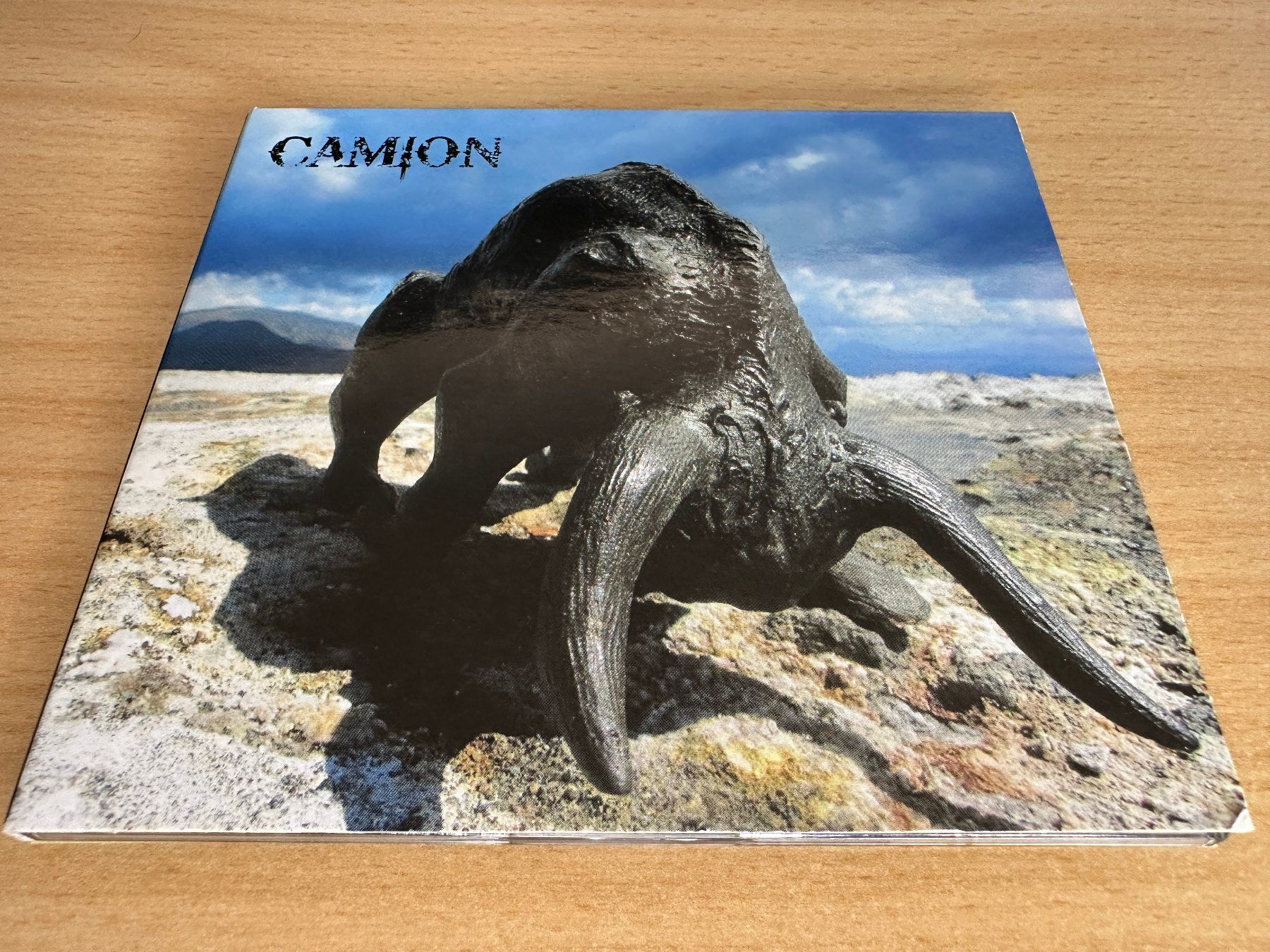 CDs: Camion – Bulls – Gebraucht aus Rikon im Tösstal von Alpenmutz