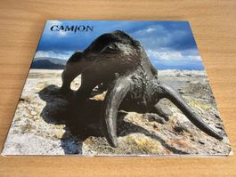 Camion – Bulls