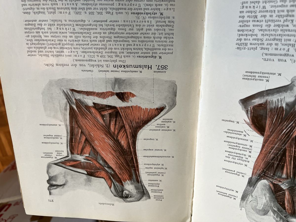 Libri: Medizinische Bücher alt – Usato da Zürich venduto da Gurly 7