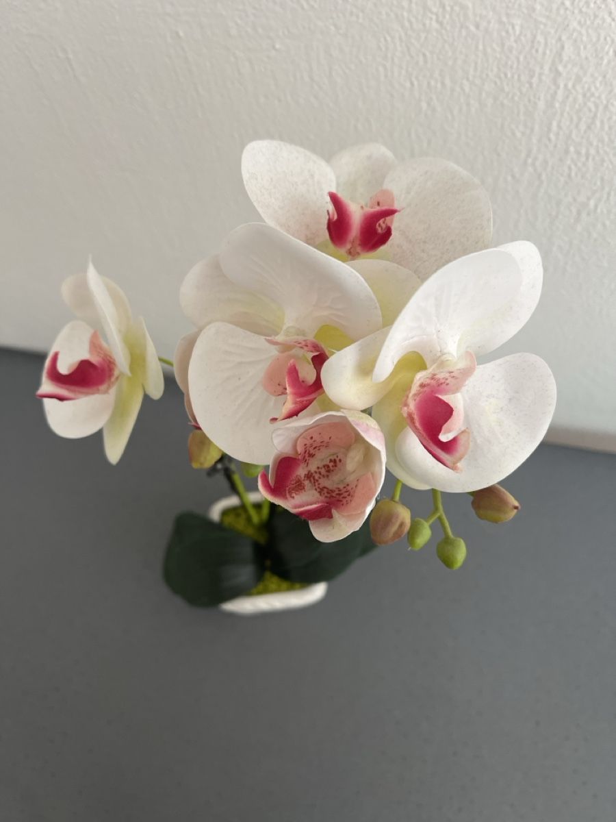 Tutte le decorazioni: Orchidea artificiale bianca e rosa in vaso decorativo – Usato da Bever venduto da anj_8lxr 2