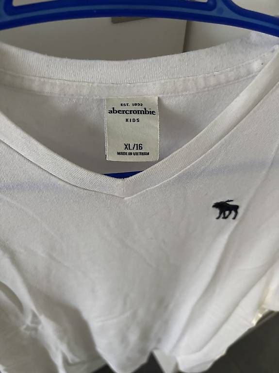 T-shirt: Abercrombie Tshirts  – Usato da Oberdiessbach venduto da shan26 2