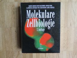 Molekulare Zellbiologie - 2. Auf. 1996 - gebunden - WDEG