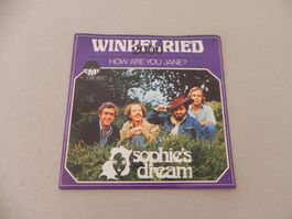 Single Prog. Rock Band CH Sophies Dream