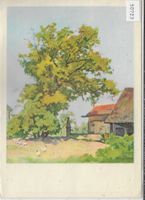 Pro Juventute - Nussbaum bei Schwamedingen - Martha Riggenba