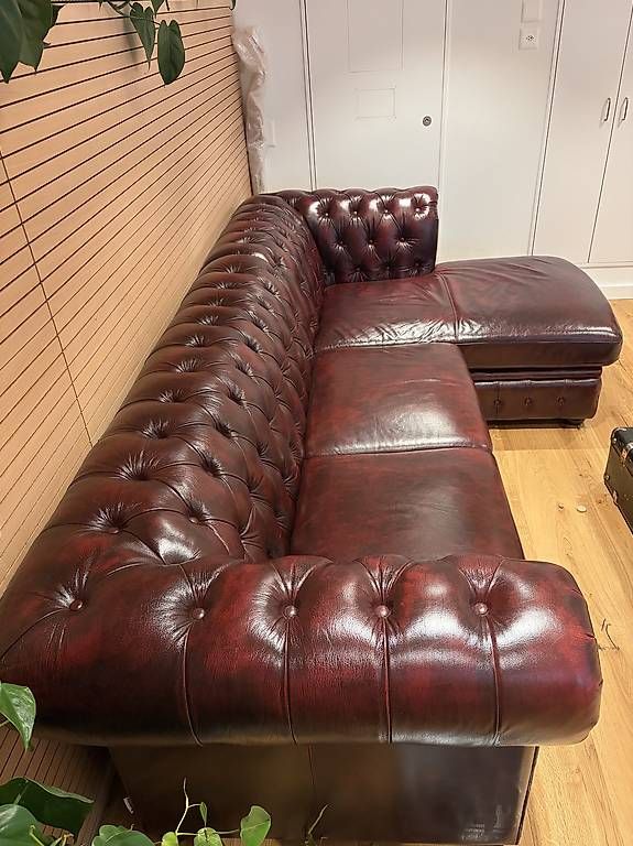 Divani: Chesterfield Brenton Büffelleder couch – Usato da Küssnacht am Rigi venduto da ced_s9vw 2