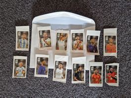 Panini coca cola Sticker WM 2026