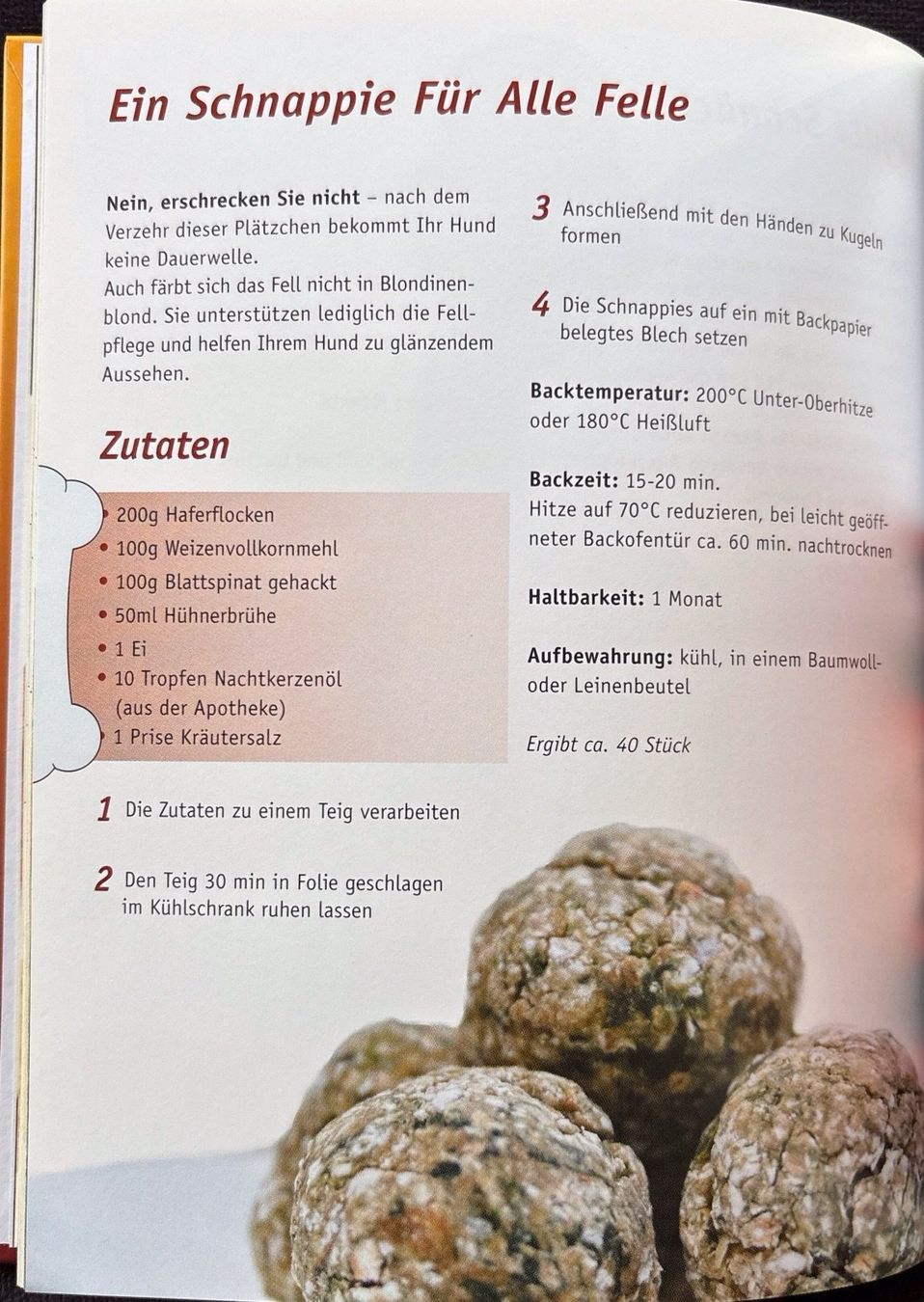 Bücher: Schnappies - Hundecookies selbstgemacht – Neu (gemäss Beschreibung) aus Sarnen von Livres 7