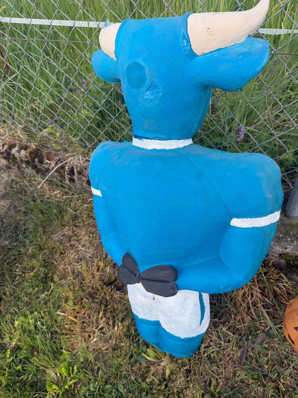 Tir à l'arc: 3d Target stier Muni Zielscheibe – D'occasion à Holziken par Timbergrizzly 2