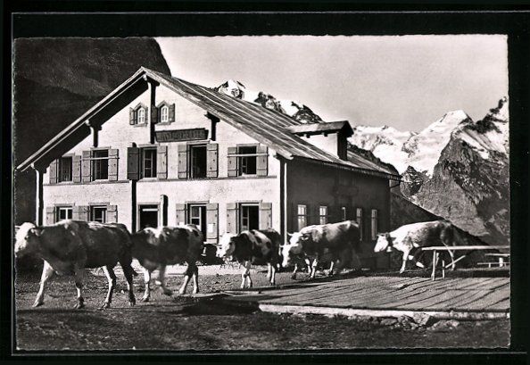 Ansichtskarten: Grosse Scheidegg, Hotel Gr. Scheidegg mi – Gebraucht aus Berlin von bartko-reher