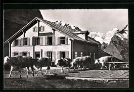 Grosse Scheidegg, Hotel Gr. Scheidegg mi