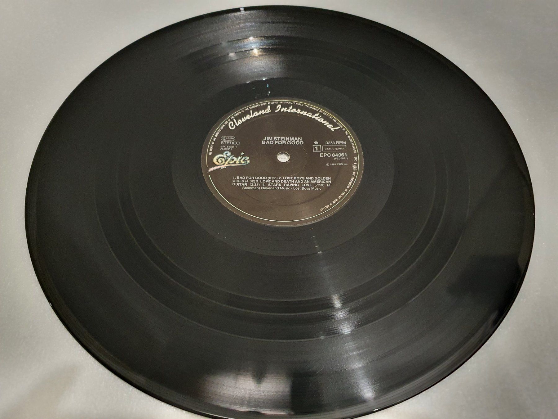Dischi in vinile: Jim Steinman – Bad For Good – Usato da Uster venduto da Vinyl-Leidenschaft 2