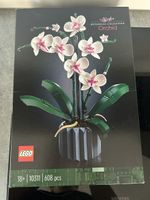 LEGO Botanical Collection Orchidee 10311 ungeoffnet neu