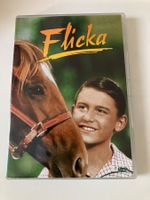 Flicka (DVD)  1943, Roddy McDowall, Preston Foster