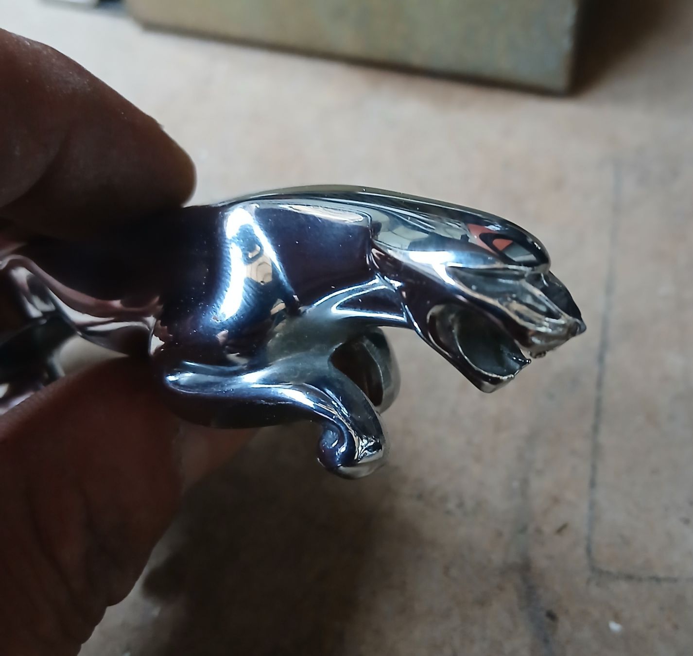 Jaguar Tutti pezzi di ricambio auto: Emblème Jaguar  – Usato da la heutte venduto da Auto-stock 2