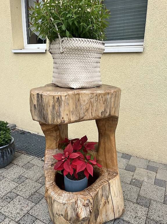 Altro in Decorazioni & Accessori: Tronc de décoration bois d orme. – Usato da Chevroux venduto da ateca2017