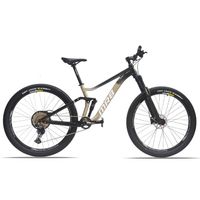 Fully Mountain Bike (neu)