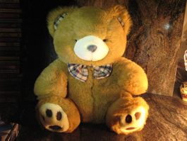 Teddy Bär