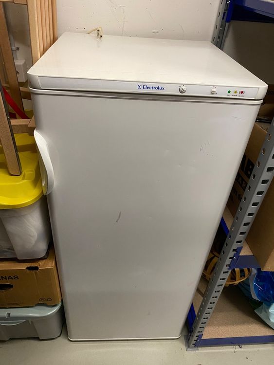 Tiefkühler Kaufen auf Ricardo