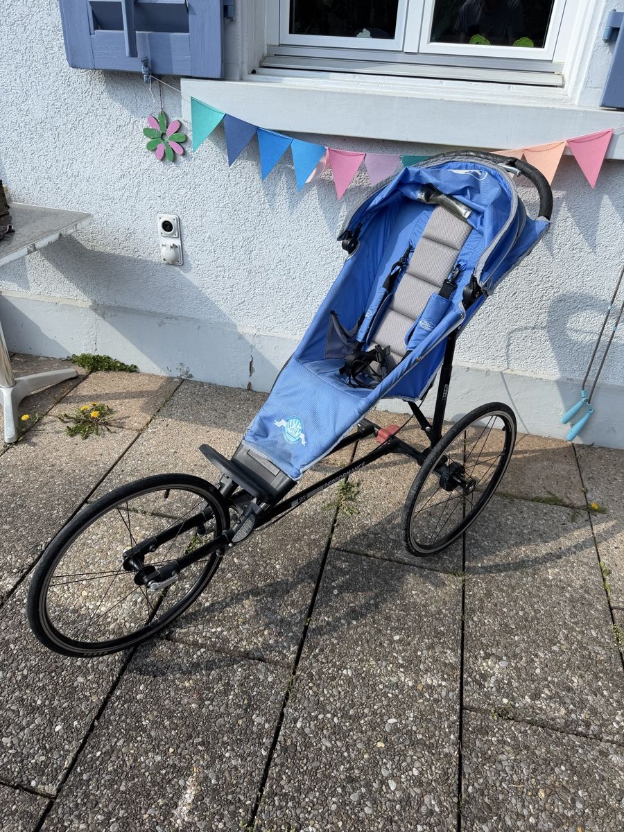 Baby Jogger Carrozzine: Kinderwagen Buggy Babyjogger – Usato da Effretikon venduto da Saendu24