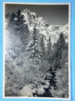 Wintermorgen bei Engelberg
