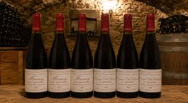6 Flaschen A.& P. De Villaine 2014